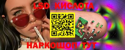 меф Кингисепп