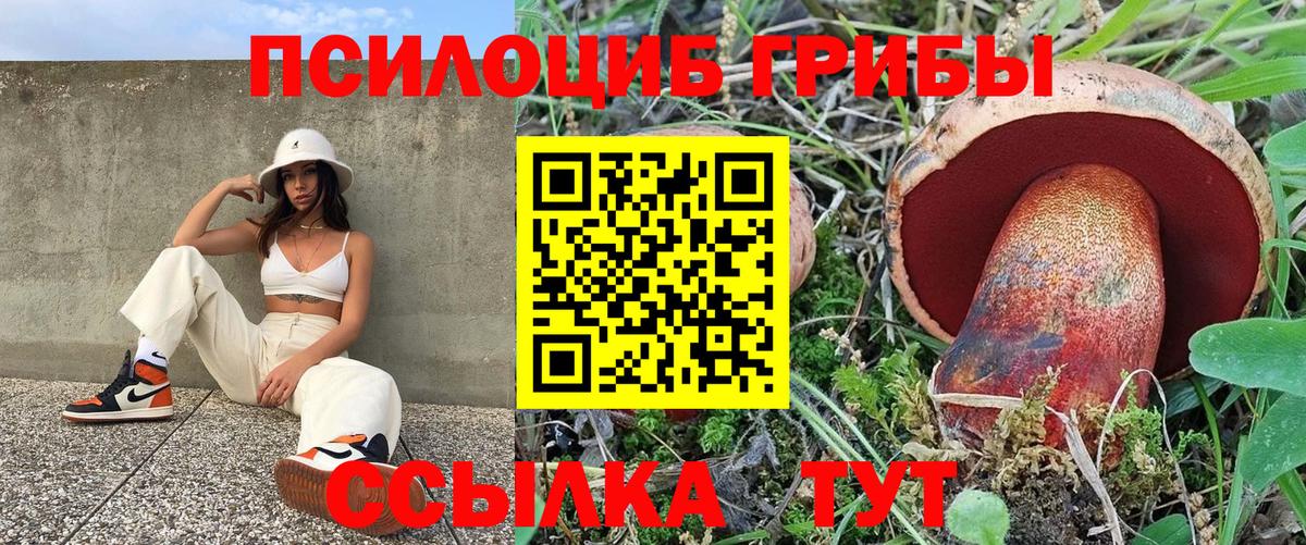 Галлюциногенные грибы Cubensis Биробиджан